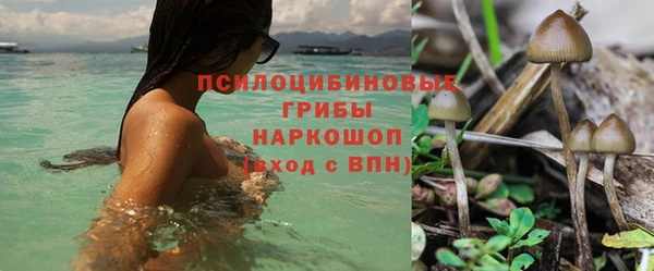 марки nbome Корсаков