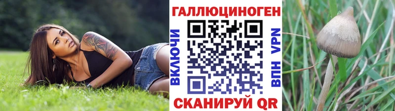 hydra рабочий сайт  Абакан  Псилоцибиновые грибы Psilocybine cubensis 
