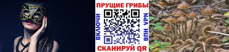 Галлюциногенные грибы ЛСД Абакан