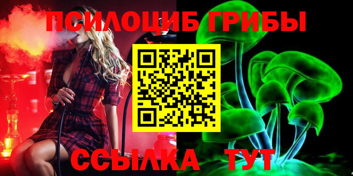 Галлюциногенные грибы GOLDEN TEACHER  Абакан  Галлюциногенные грибы Psilocybe 