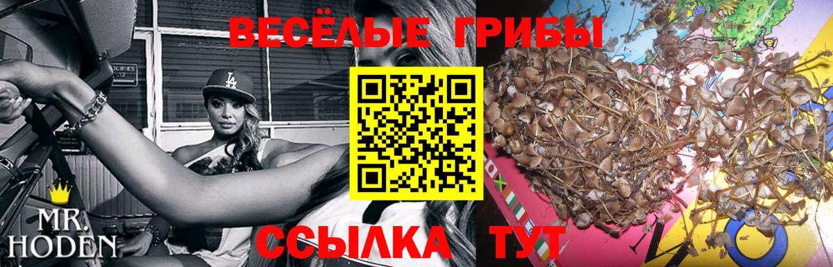 Галлюциногенные грибы Psilocybe  Псилоцибиновые грибы Psilocybe  Вход с VPN  Абакан 