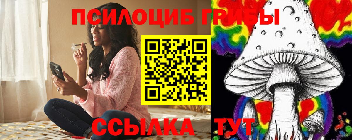 Псилоцибиновые грибы Psilocybe Абакан